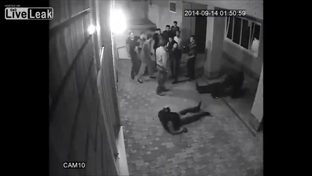 Никога не се дърви на боксьор