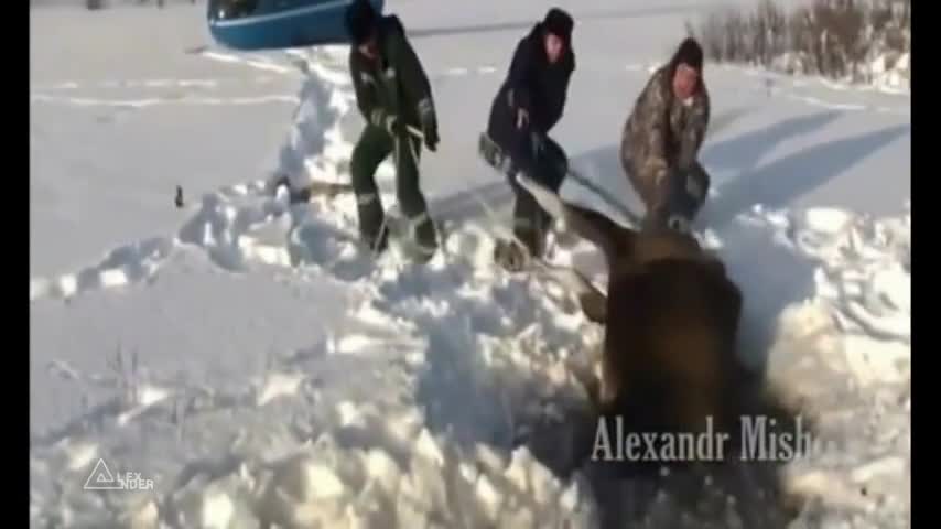 Позитивно видео с добри хора