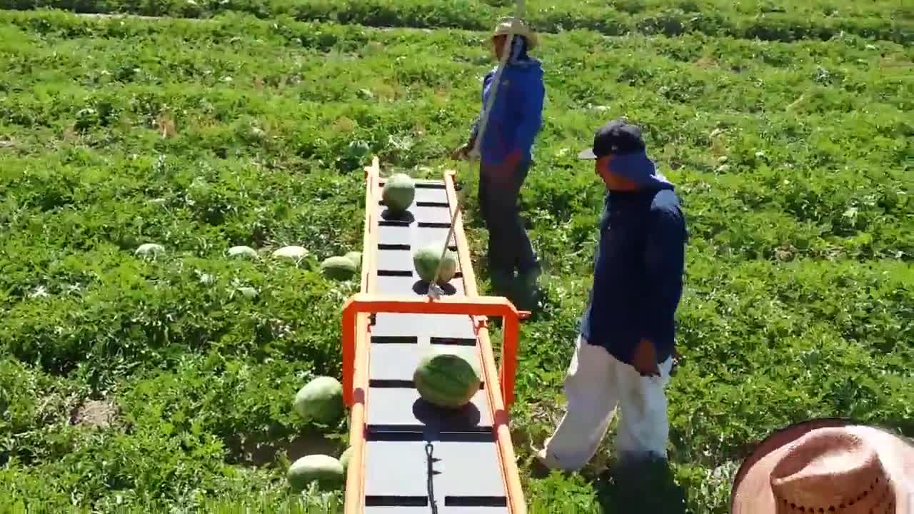 Видео споделяне