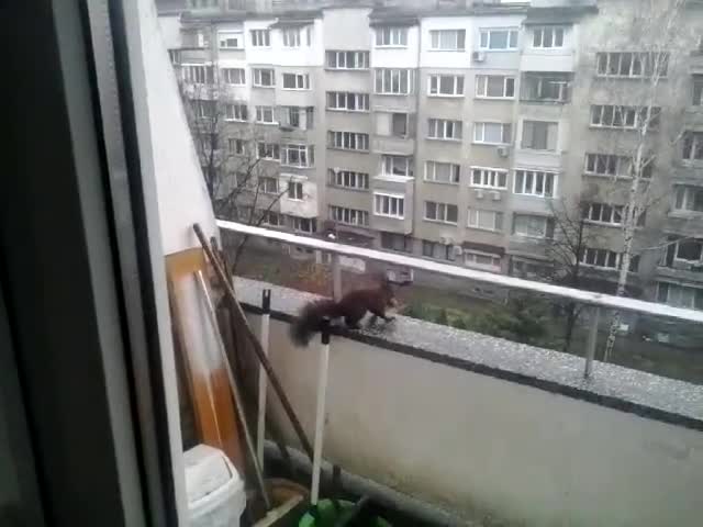 Катеричка на гости в блок