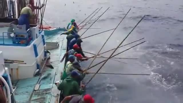 Не сте виждали такъв риболов