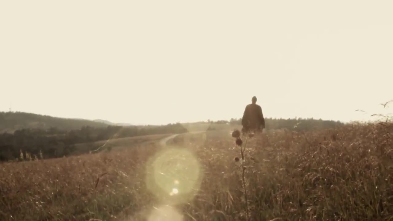 Dzanum zadje Sunce - Zarko Ilic Damar ( Official Video 2015 )
