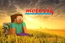 metovi4