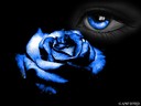 dj_cilgin_turk