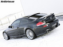 hamannm6