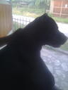 alexandro0