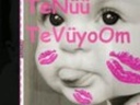 gulsen_