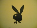 bibd