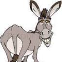 grey_donkey