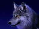 bloodlion