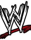 world_wrestling_entertainment