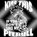 pitbull91