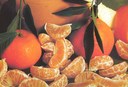 mandarinka05