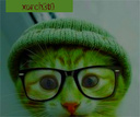 xorch3t0