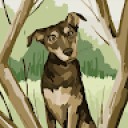 Dora Aga