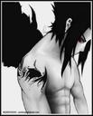 dante_sasuke