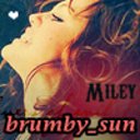 brumby_sun