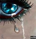nel4etyy