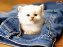 lubov4etooo