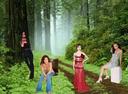 klip4i