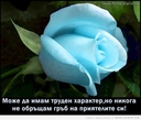 stelitoo_sladurana