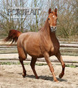 ionka7a