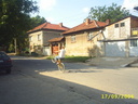 bladers