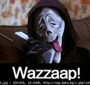 waaazzzaaappp