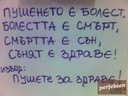mishocool