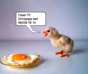 niki_veliki