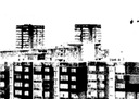 street_basketball