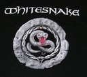 white_snake_bg