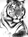 kartagen_22