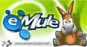 cece810128