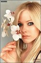 avril4eto555