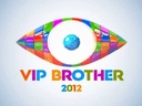 vip_big_brather