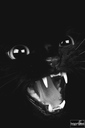 xami_17