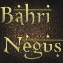 bahrinegushookah