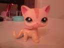 lpsprettypaws