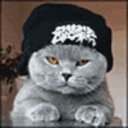 grizzkom