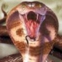 cobra3