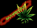 narkodiler