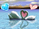 plami_to