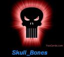 skull_bones