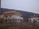 viki_boy
