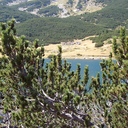 rumibor