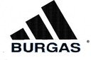 boyrgas