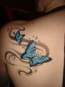 vasity_baby