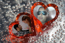 lale_devr