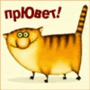 vanillakitkat375
